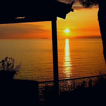 Sea And Sun Apartments 303 Ιδιωτικό Διαμέρισμα Kardhamili Bagian luar foto