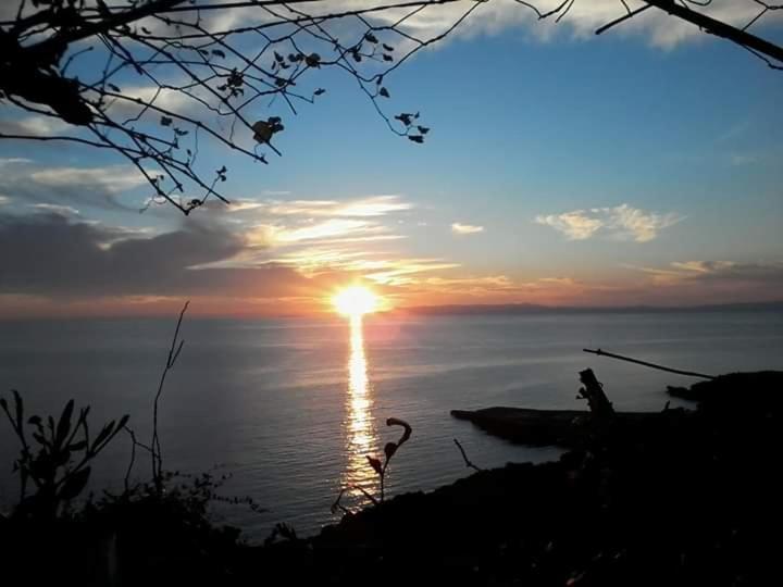 Sea And Sun Apartments 303 Ιδιωτικό Διαμέρισμα Kardhamili Bagian luar foto